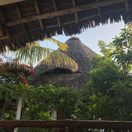 Pasa Lodge Zanzibar Nungwi Zewnętrze zdjęcie