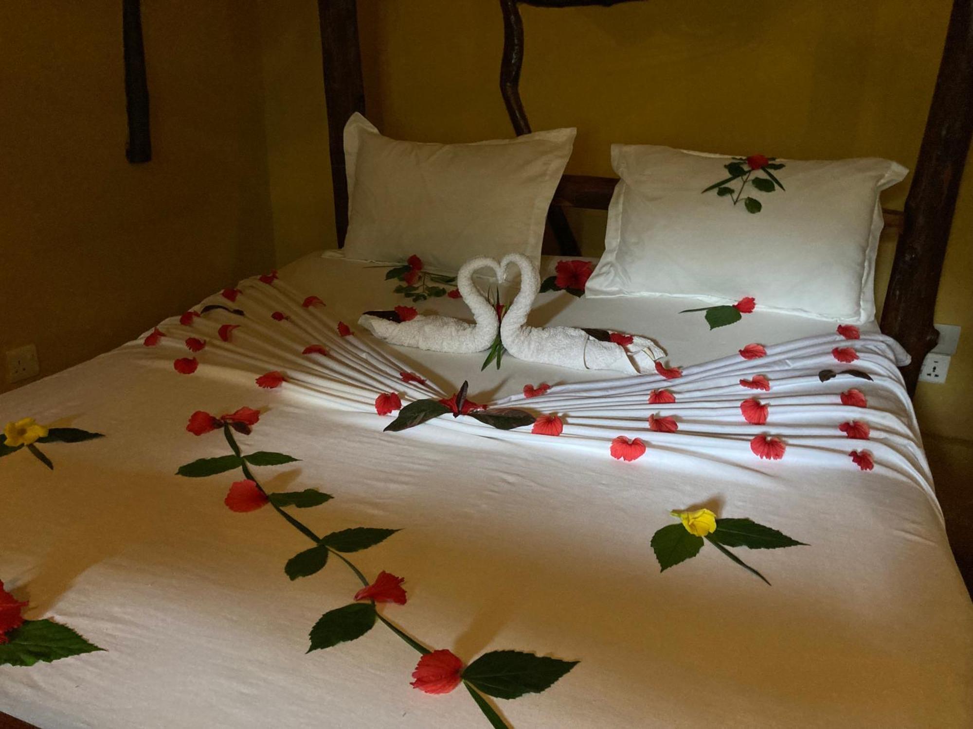 Pasa Lodge Zanzibar Nungwi Pokój zdjęcie