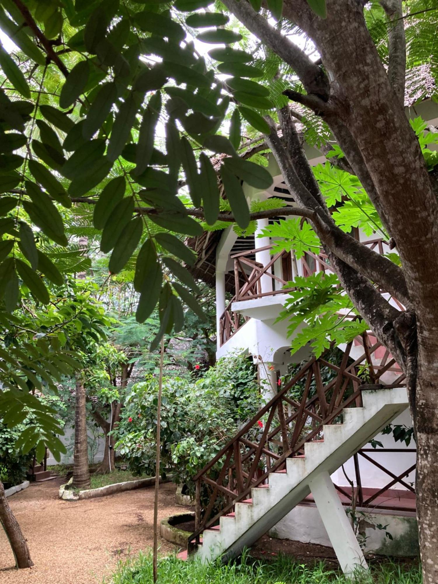 Pasa Lodge Zanzibar Nungwi Zewnętrze zdjęcie